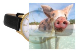 Zegarek damski ABAC04GISX03BX