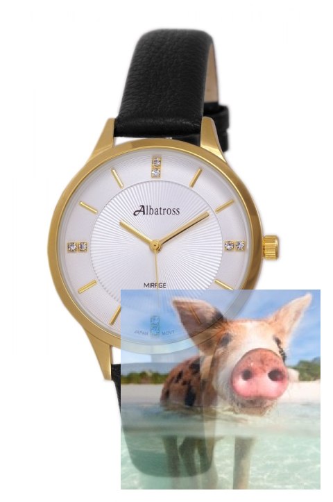 Zegarek damski ABAC04GISX03BX