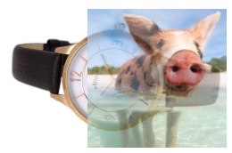 Zegarek damski ABAC04RMSX03BX