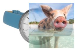 Zegarek damski ABAC21SISX03BX