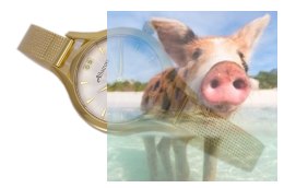 Zegarek damski ABBB94GISX03BX