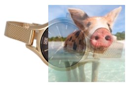 Zegarek damski ABBB94RIVX03BX