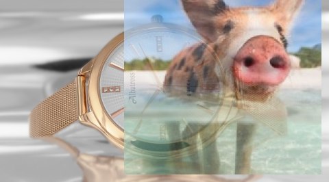 Zegarek damski ABBB95RISX03BX