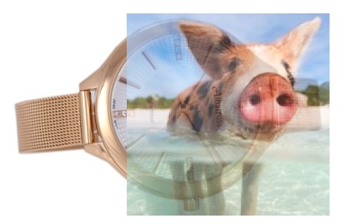 Zegarek damski ABBB95RISX03BX