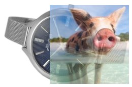 Zegarek damski ABBB95SIDX03BX