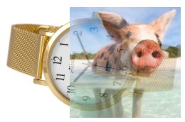 Zegarek damski ABBB98GAWX03BX