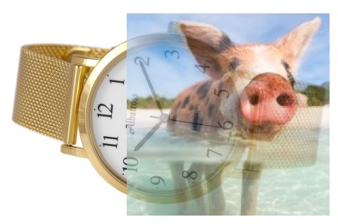 Zegarek damski ABBB98GAWX03BX