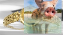 Zegarek damski ABBB98GIGZ03BX