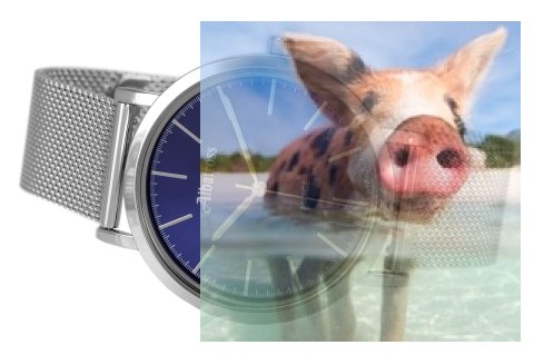 Zegarek damski ABBB98SIDX03BX Zegarek damski ABBB98SIDX03BX