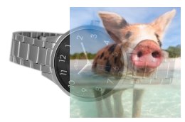 Zegarek damski ABBC02SABX03BX