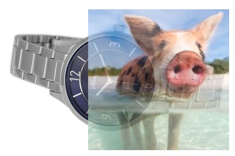 Zegarek damski ABBC02SMDX03BX