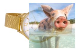 Zegarek damski ABBC03GMSX03BX