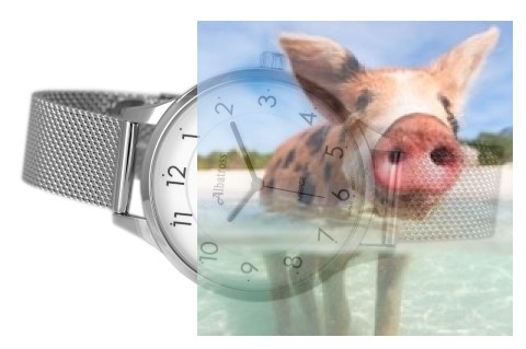 Zegarek damski ABBC03SAWX03BX