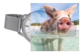 Zegarek damski ABBC03SISX03BX