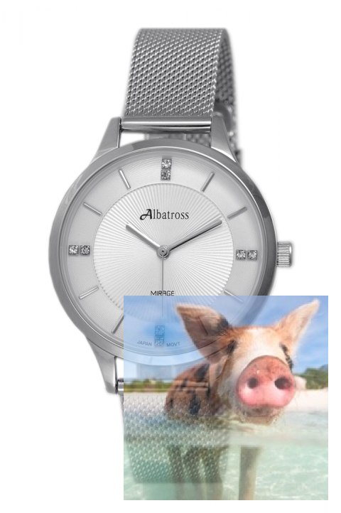 Zegarek damski ABBC03SISX03BX