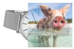 Zegarek damski ABBC12SISD03BX