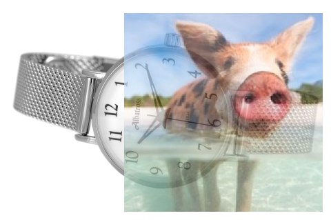 Zegarek damski ABBC16SAWX03BX