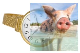 Zegarek damski ABBC22GAWX03BX