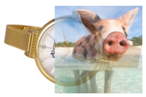 Zegarek damski ABBC22GISX03BX