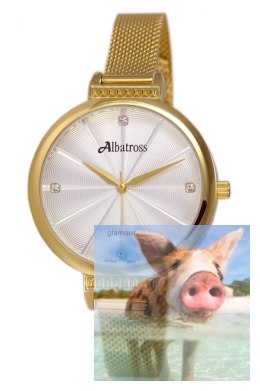 Zegarek damski ABBC22GISX03BX