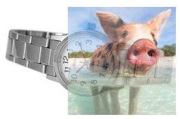 Zegarek damski ABBC25SAWX03BX