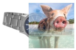 Zegarek damski ABBC25SIDX03BX