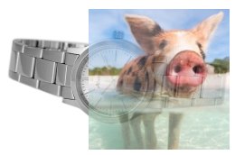 Zegarek damski ABBC25SISX03BX