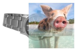 Zegarek damski ABBC25SIVX03BX