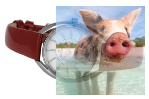 Zegarek damski BSAC95SIWX03BX