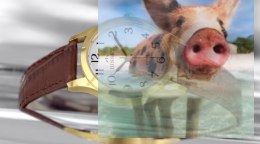 Zegarek damski BSAE39GAWX05BX