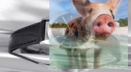 Zegarek damski BSAE39SIBX05BX