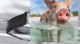 Zegarek damski BSAE39SISX05BX