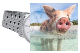 Zegarek damski BSBE54SIWX03BX