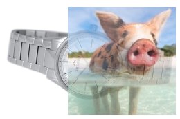 Zegarek damski BSBE67SISX03BX