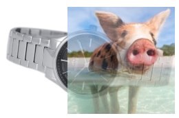 Zegarek damski BSBE67SIVX03BX