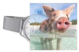 Zegarek damski BSBE90SISX03BX