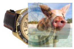 Zegarek męski ABCA60GMGX03BX