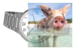 Zegarek męski ABDC06SAWX03BX