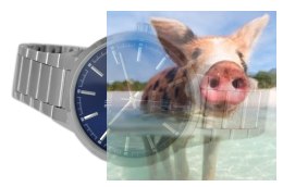 Zegarek męski ABDC06SIDX03BX