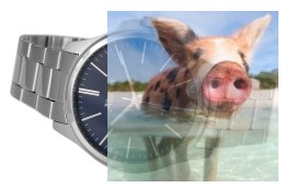 Zegarek męski ABDC23SIDX03BX