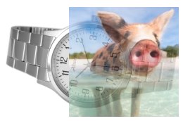 Zegarek męski ABDC24SAWX03B1