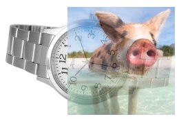 Zegarek męski ABDC24SAWX03BX