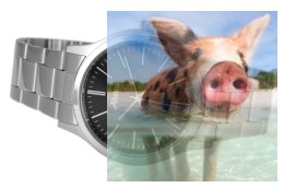 Zegarek męski ABDC24SIBX03BX