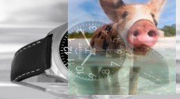 Zegarek męski BSCE40SABX03BX