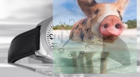 Zegarek męski BSCE40SAWX03BX