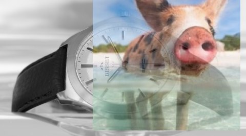 Zegarek męski BSCE40SISX03BX