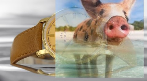 Zegarek męski BSCE48GIGX03BX