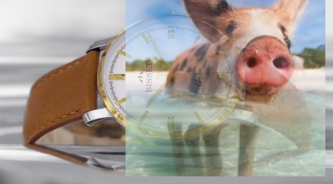 Zegarek męski BSCE48GISX03BX Zegarek męski BSCE48GISX03BX
