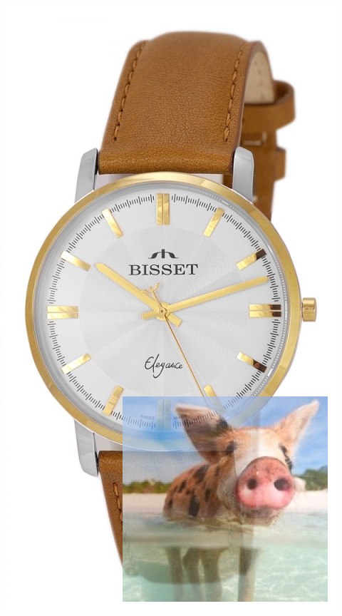 Zegarek męski BSCE48GISX03BX Zegarek męski BSCE48GISX03BX