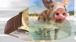 Zegarek męski BSCE50GAGX03BX